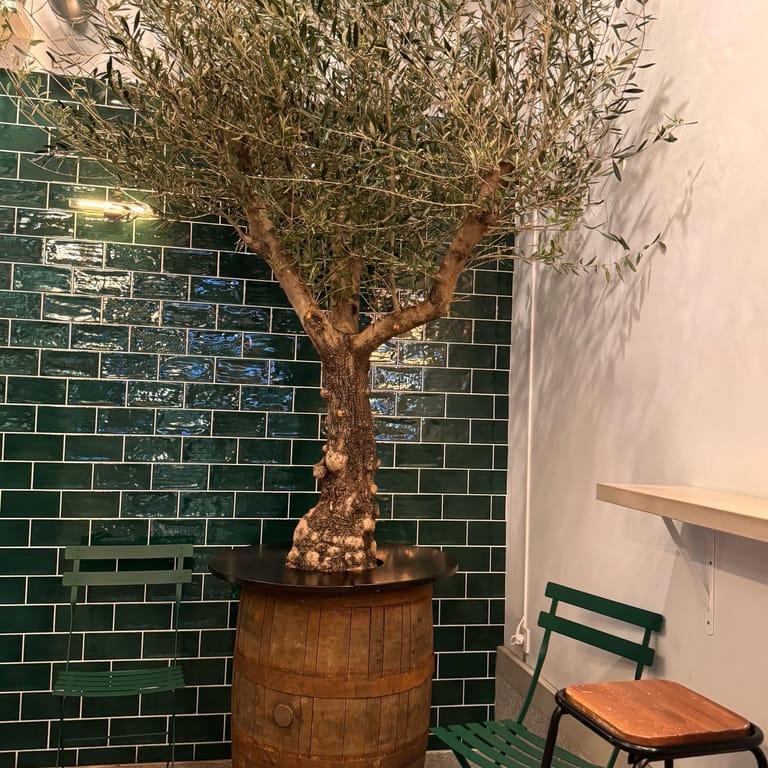 image of Caffè Doppio