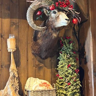 image of Le Panoramic