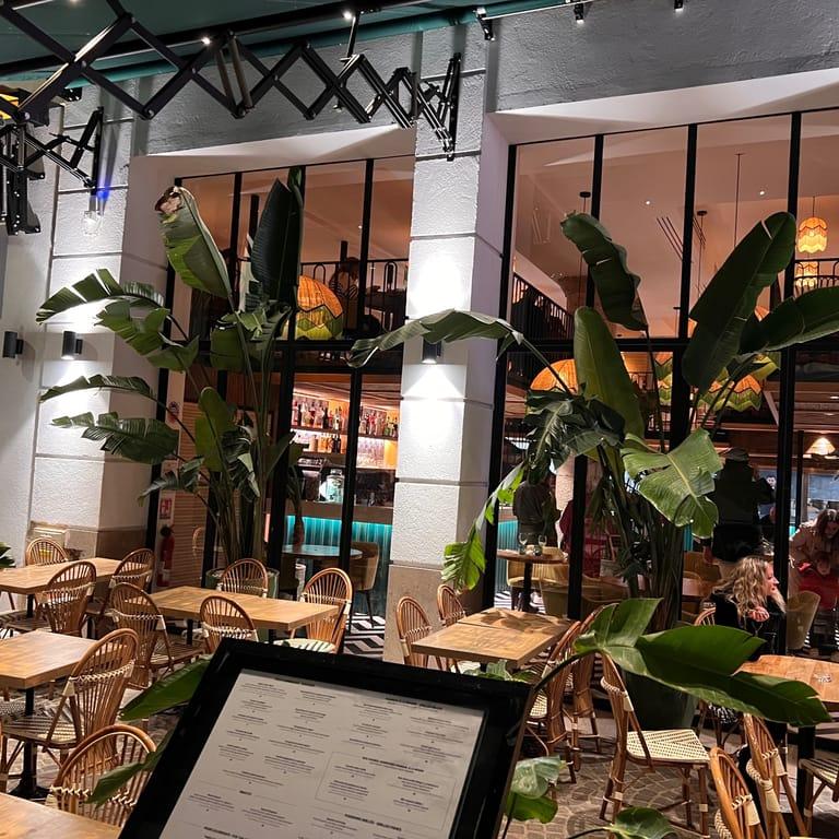 image of Fervor - Cannes