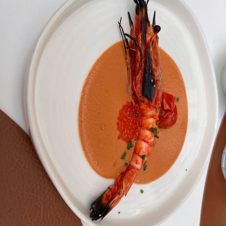 image of Andala Marbella