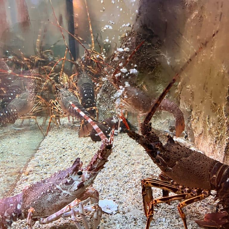 image of Mar do Inferno