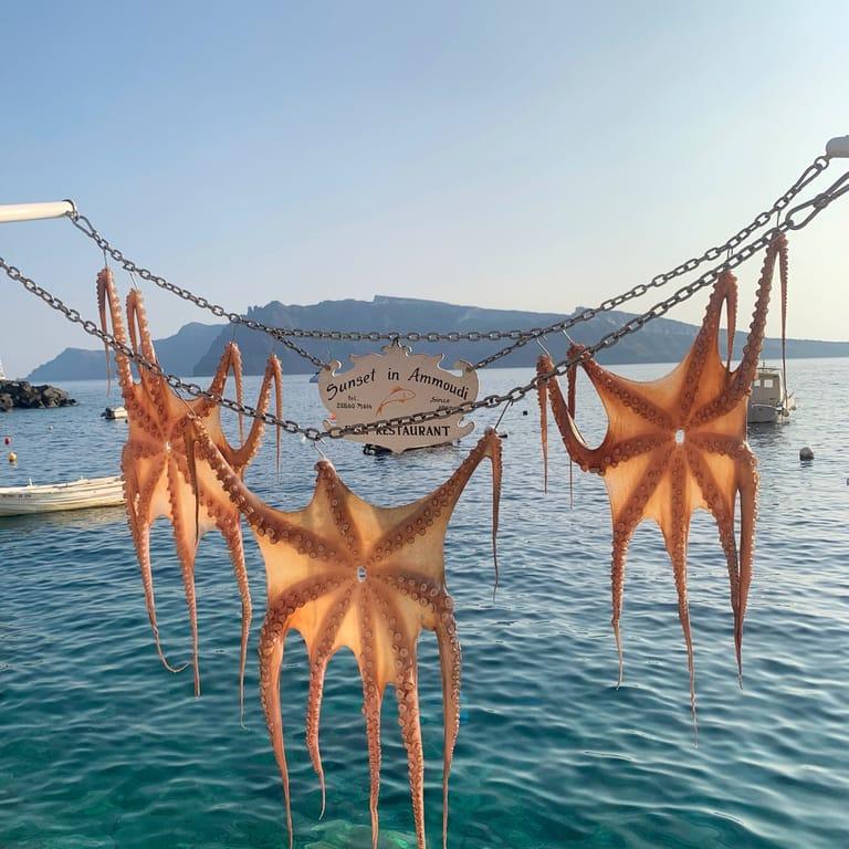 image of Ammoudi Fish Tavern