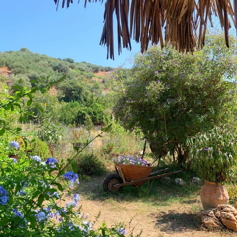 image of Ο Κήπος της Φροσύνης