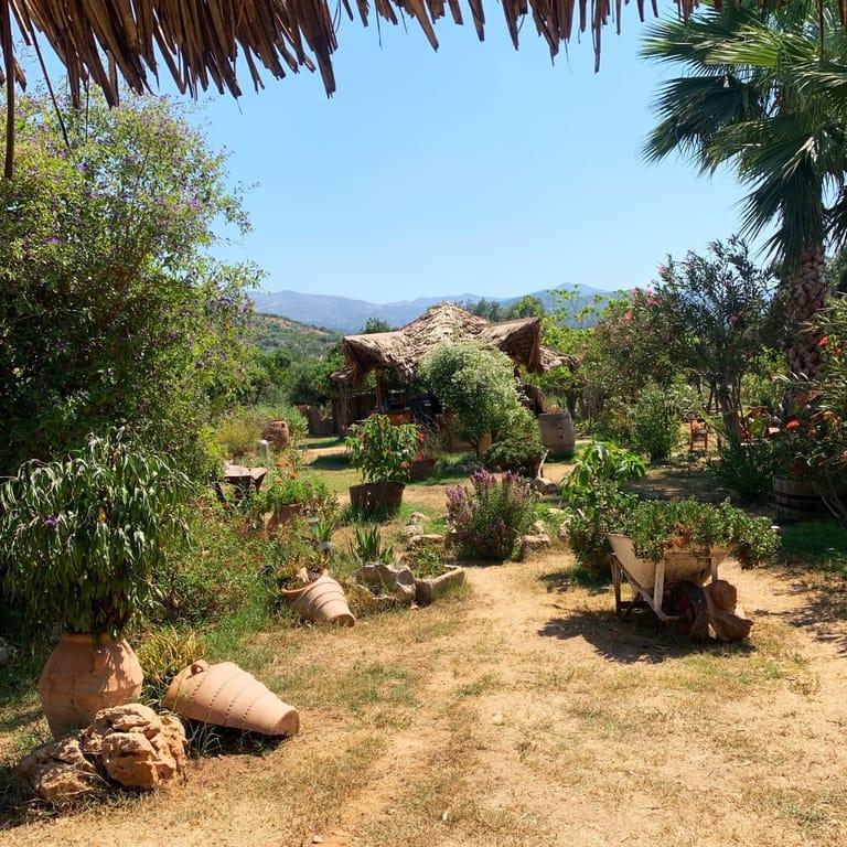 image of Ο Κήπος της Φροσύνης