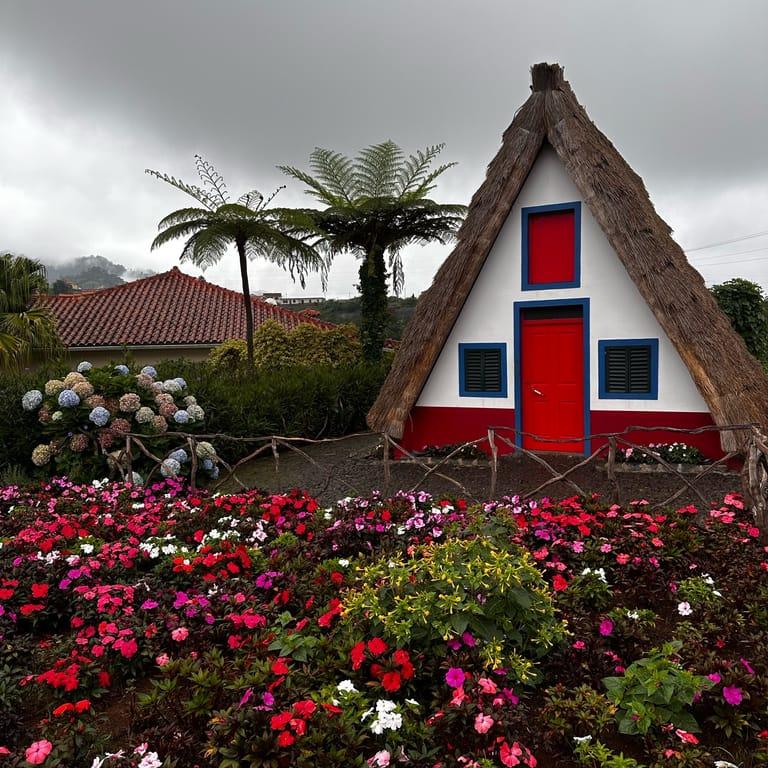 image of Casas Típicas de Santana