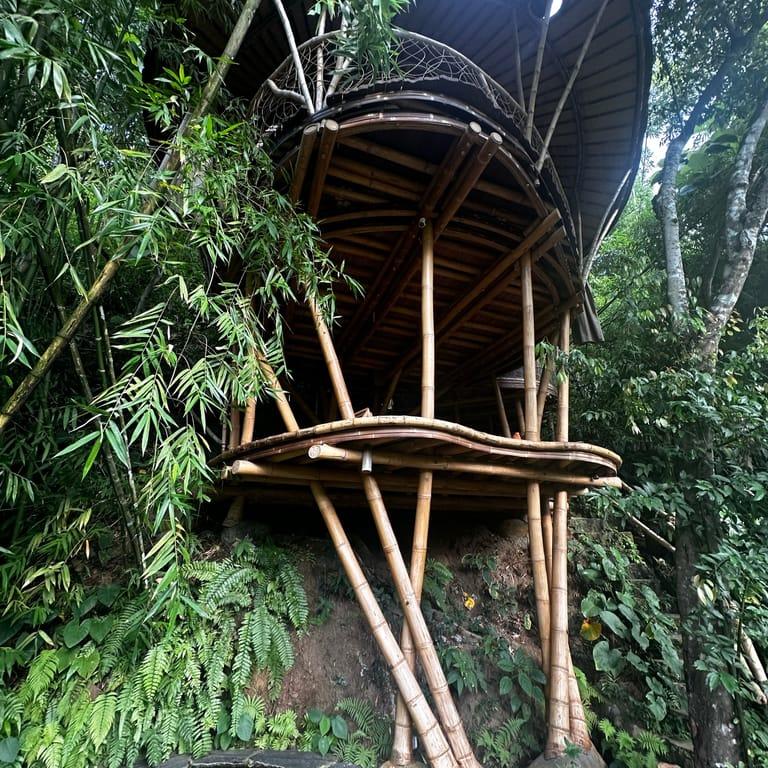 image of Bambu Indah