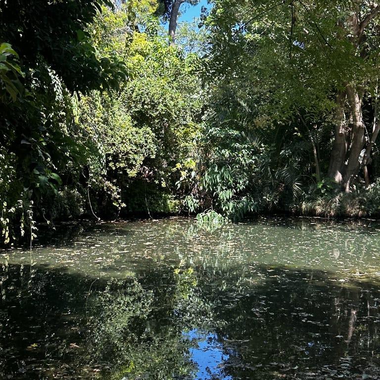 image of Athens National Garden