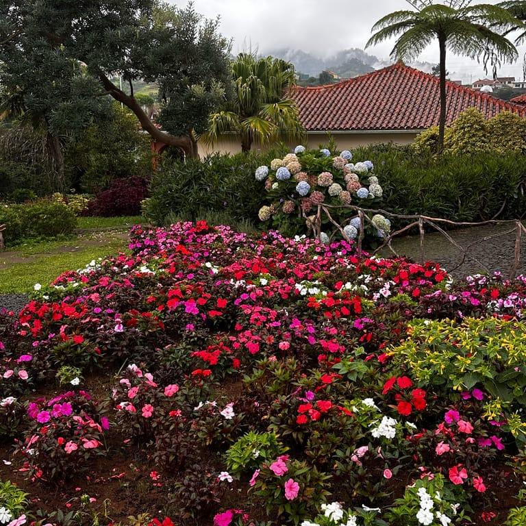 image of Casas Típicas de Santana