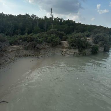 image of Husaak Adventures - Eastern Mangroves