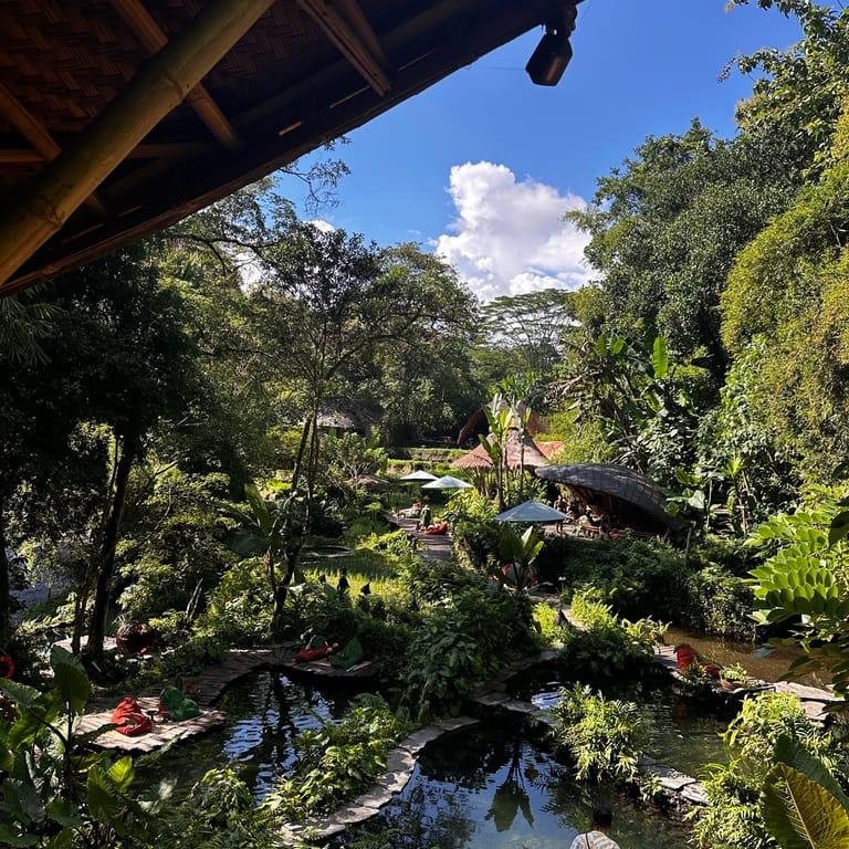 image of Bambu Indah