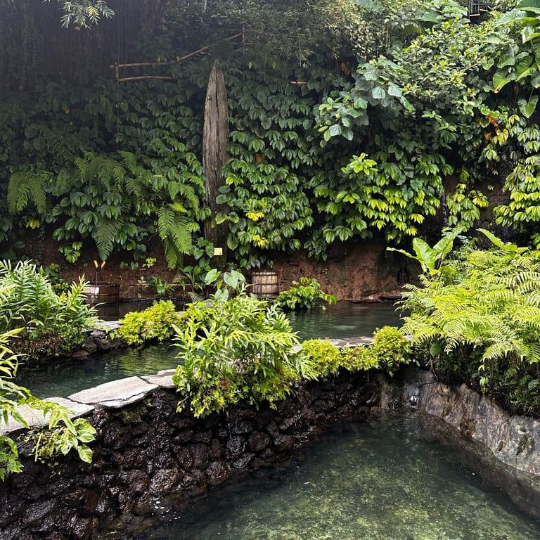 image of Bambu Indah