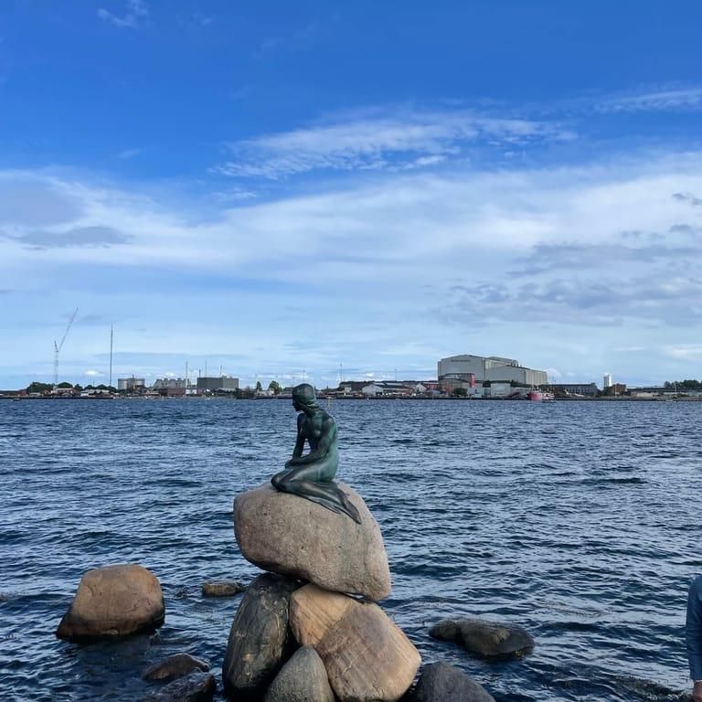 image of The Little Mermaid