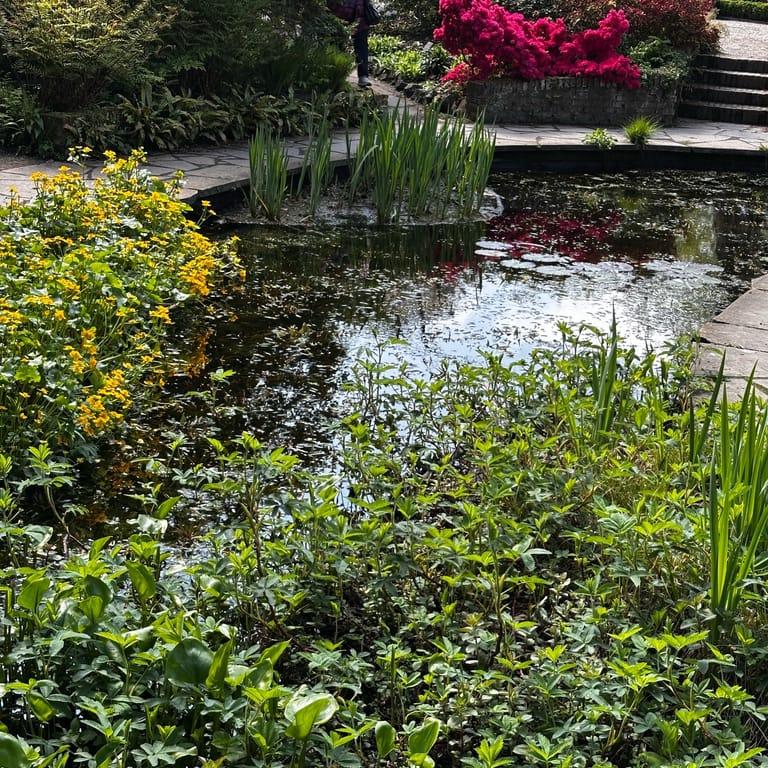 image of Hortus Botanicus