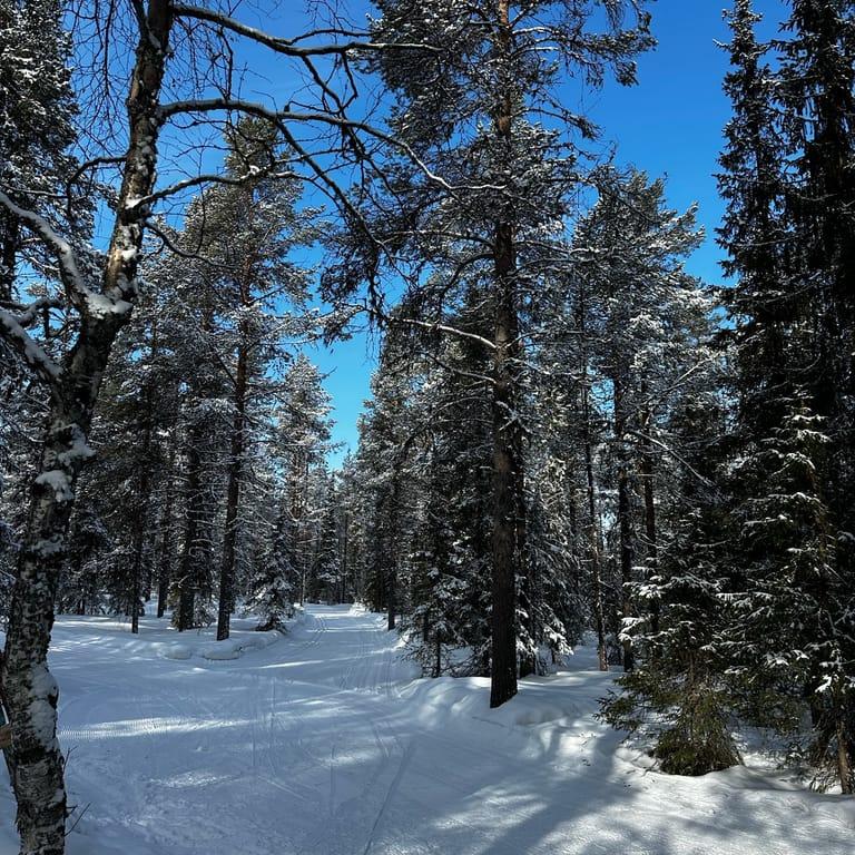 image of Tokka Safaris Ltd