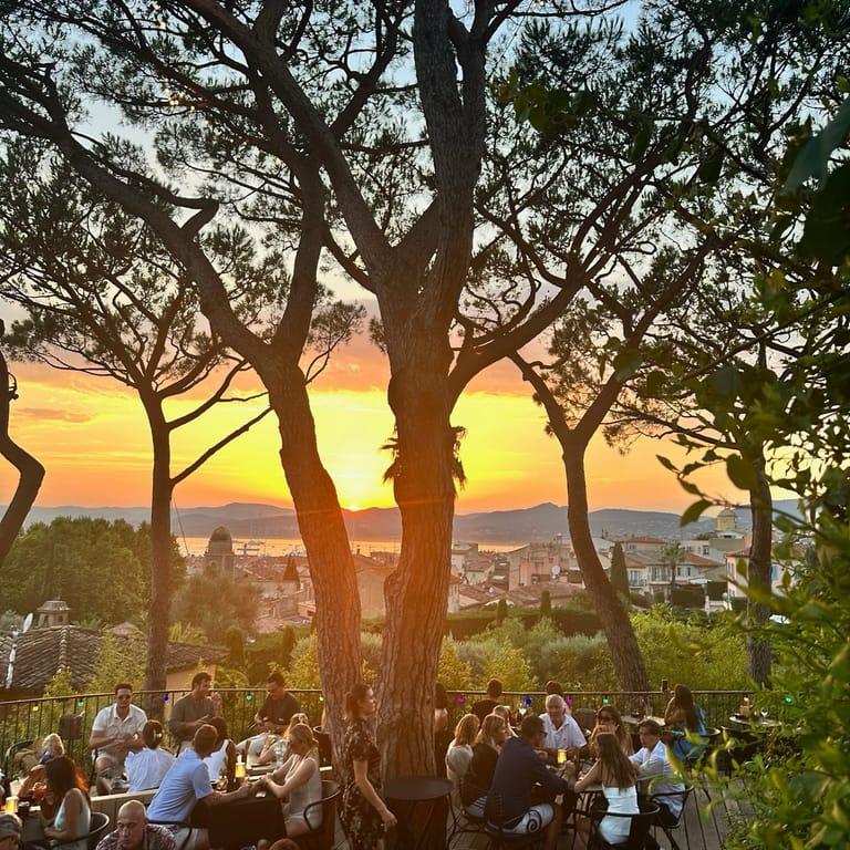 image of LE TIGRR Ermitage