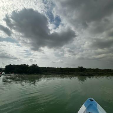 image of Husaak Adventures - Eastern Mangroves