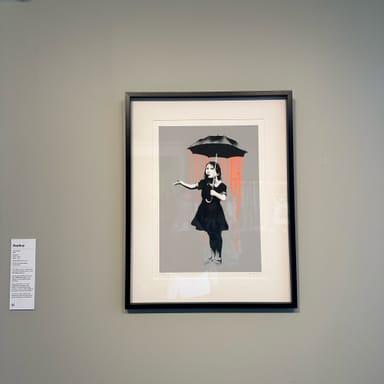 image of Moco Museum