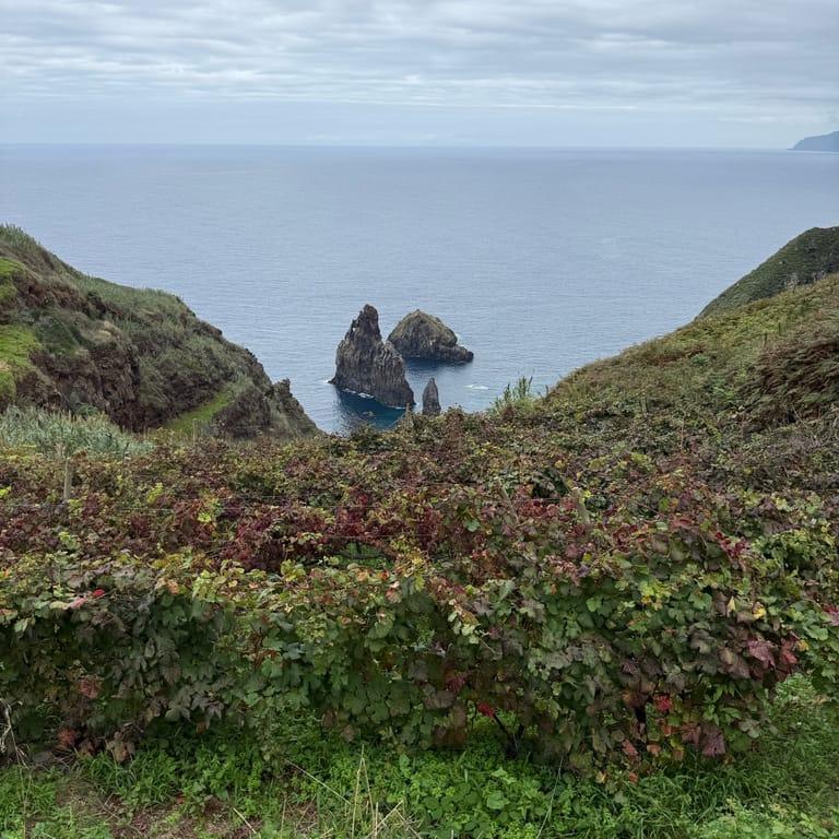 image of ADRENALINE X-TREME ADVENTURES