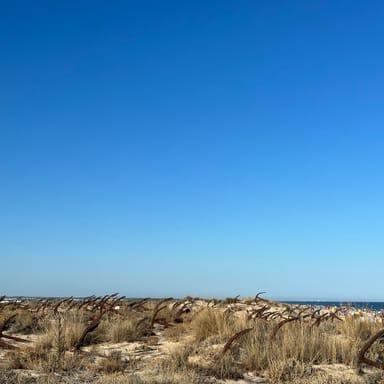 image of Cemitério das âncoras