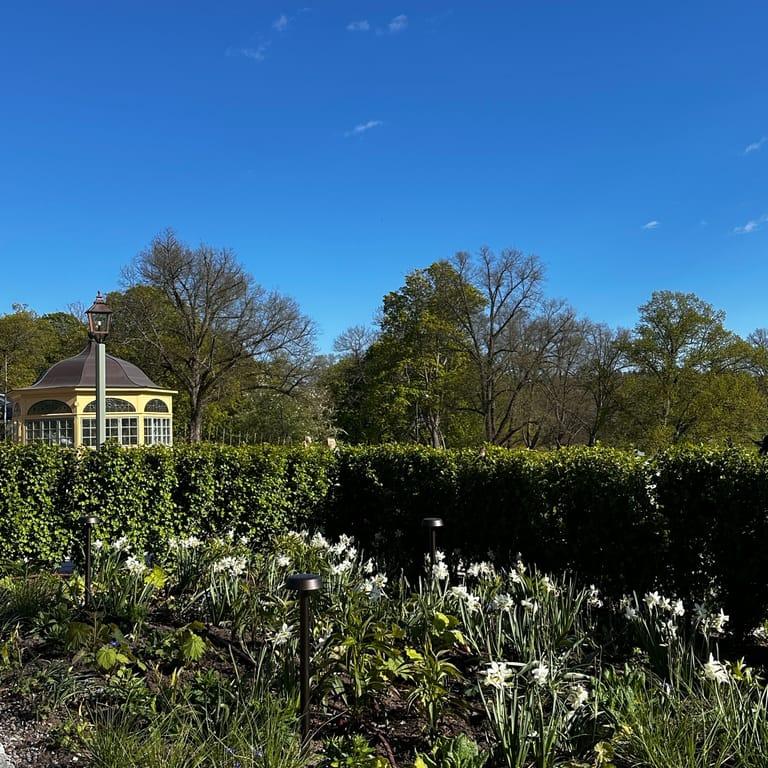 image of Djurgårdsbrunn