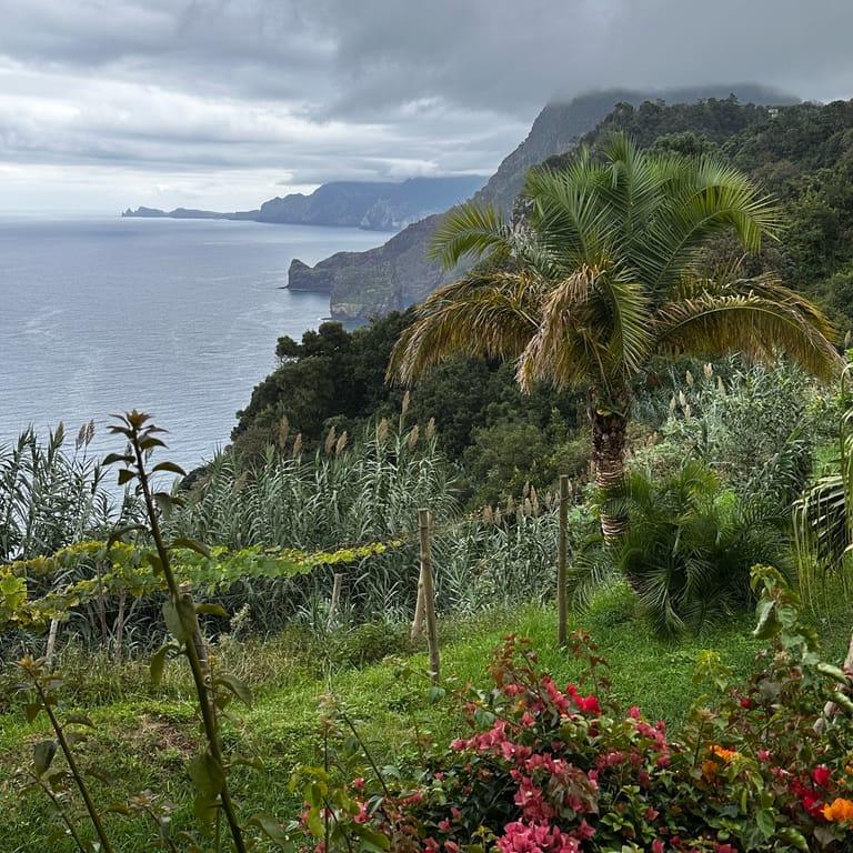 image of Pizzeria il Furetto