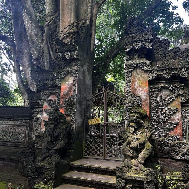 image of Sacred Monkey Forest Sanctuary