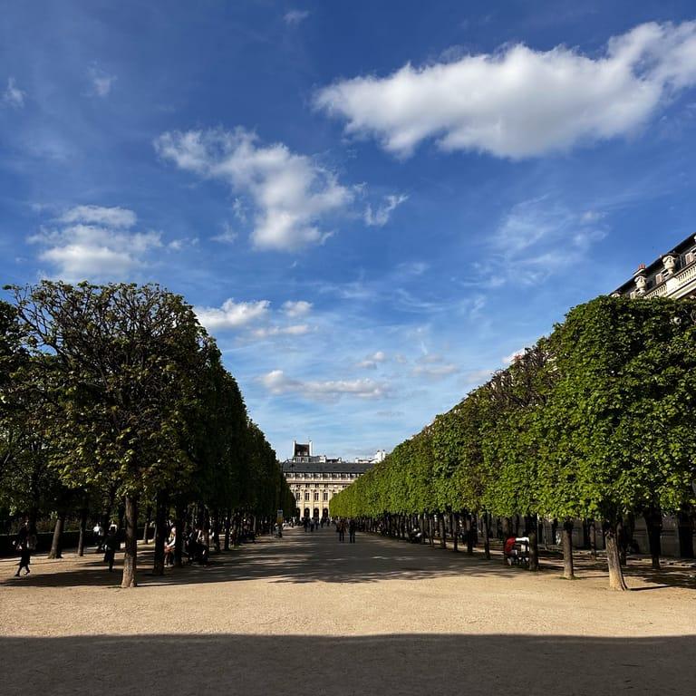 image of Domaine National du Palais-Royal