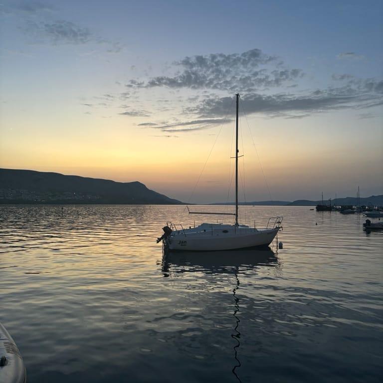 image of Pizzeria Ankora