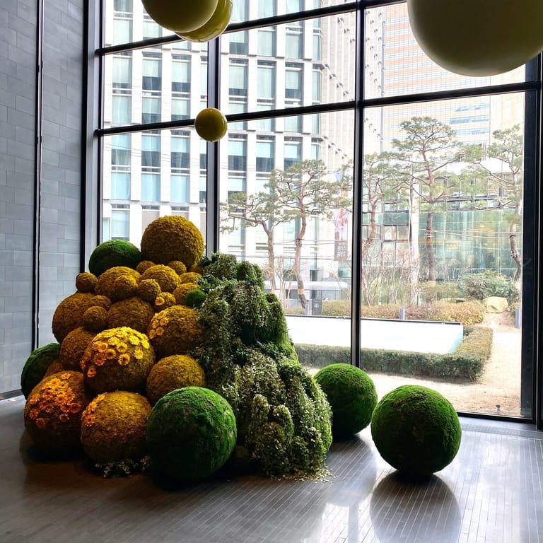 image of Four Seasons Hotel Seoul