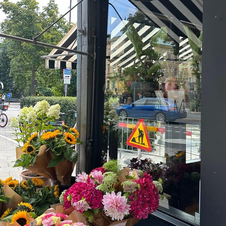 image of Petit Marche