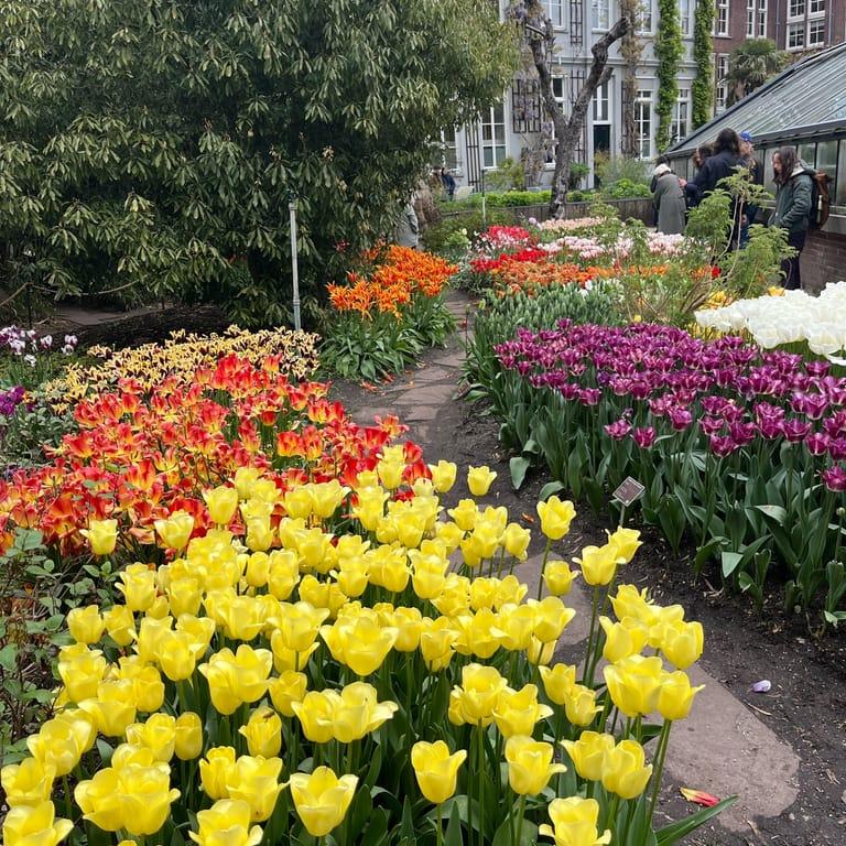 image of Hortus Botanicus