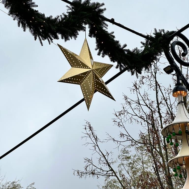 image of Tivoli Gardens