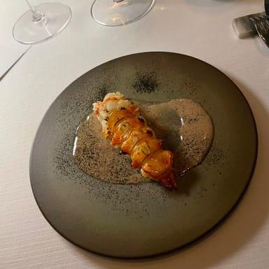 image of Seafood Gastro