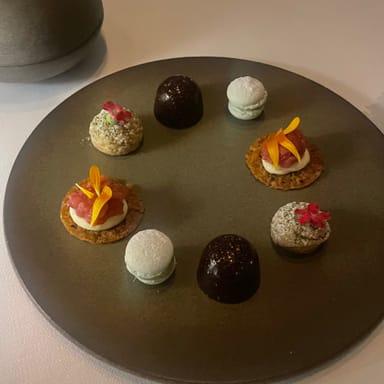 image of Seafood Gastro