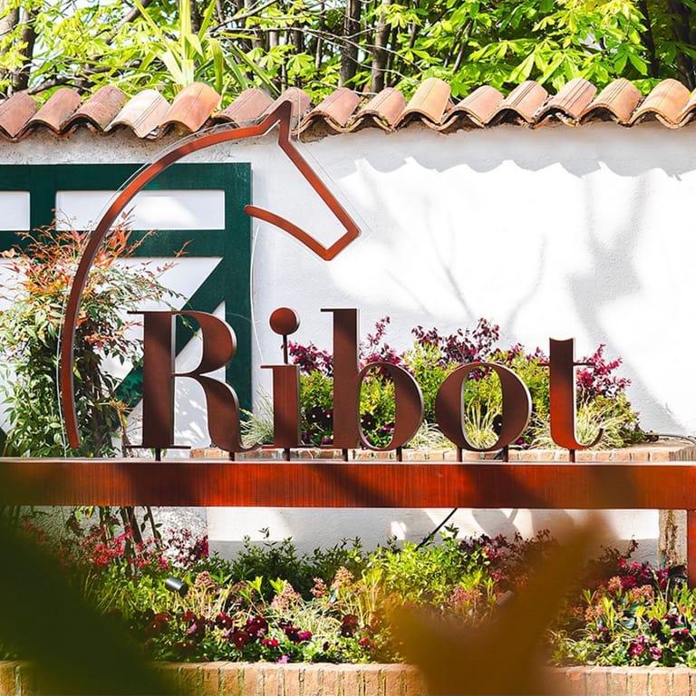 image of Ribot Borghetto