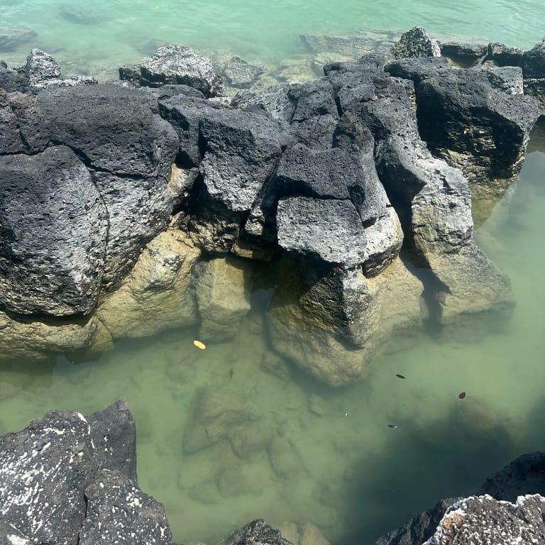 image of Galapagos islands