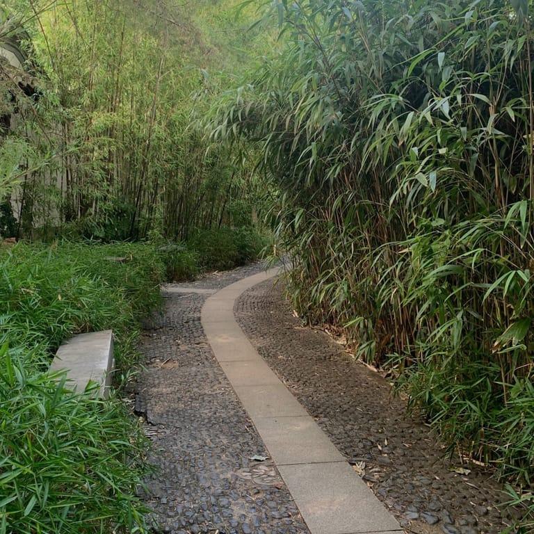 image of Bethmann Park