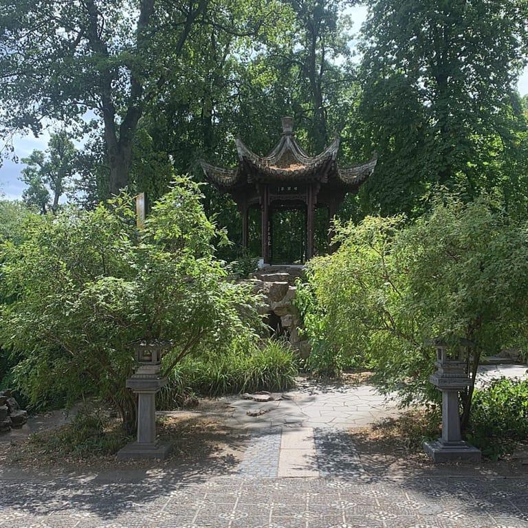 image of Bethmann Park