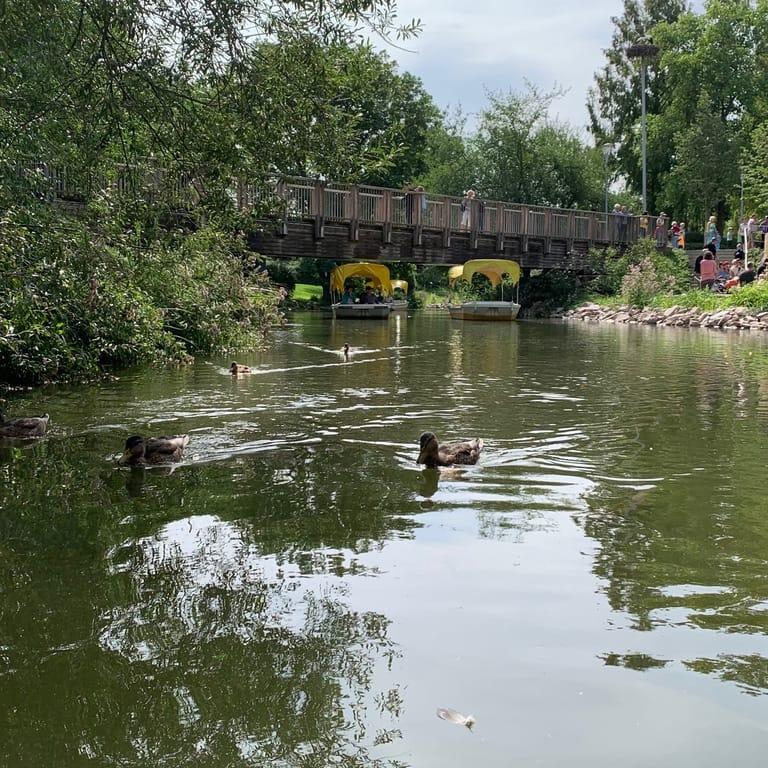 image of BuGa Mannheim Pavillon der Metropolregion Rhein Neckar