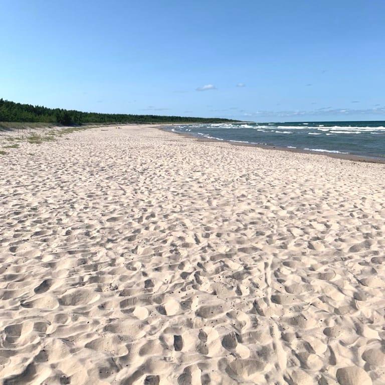 image of Norsta Aurar