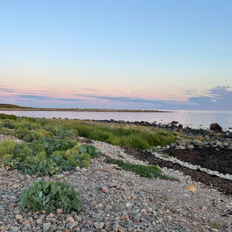 image of Joels Brygga