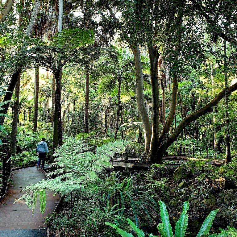 image of Royal Botanic Gardens Victoria - Melbourne Gardens