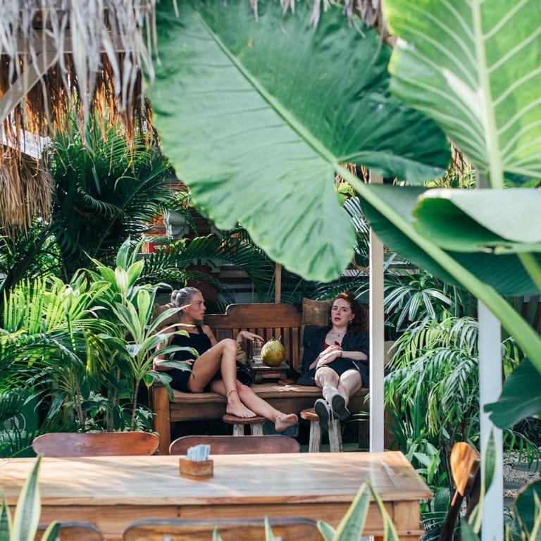 image of Shady Shack