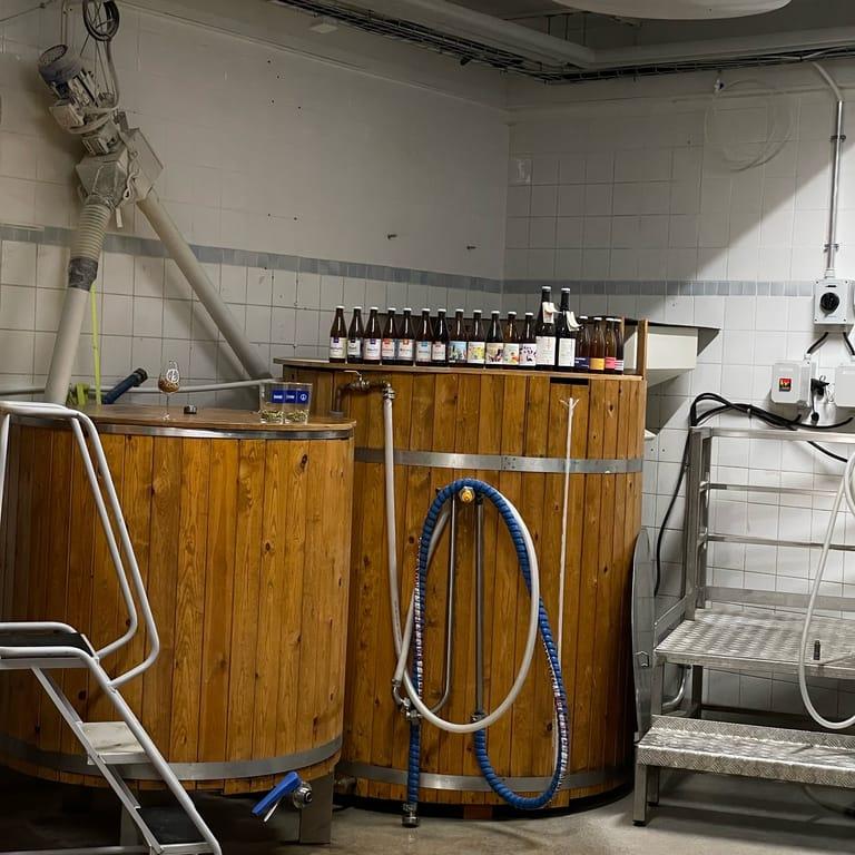 image of Kakolanruusu