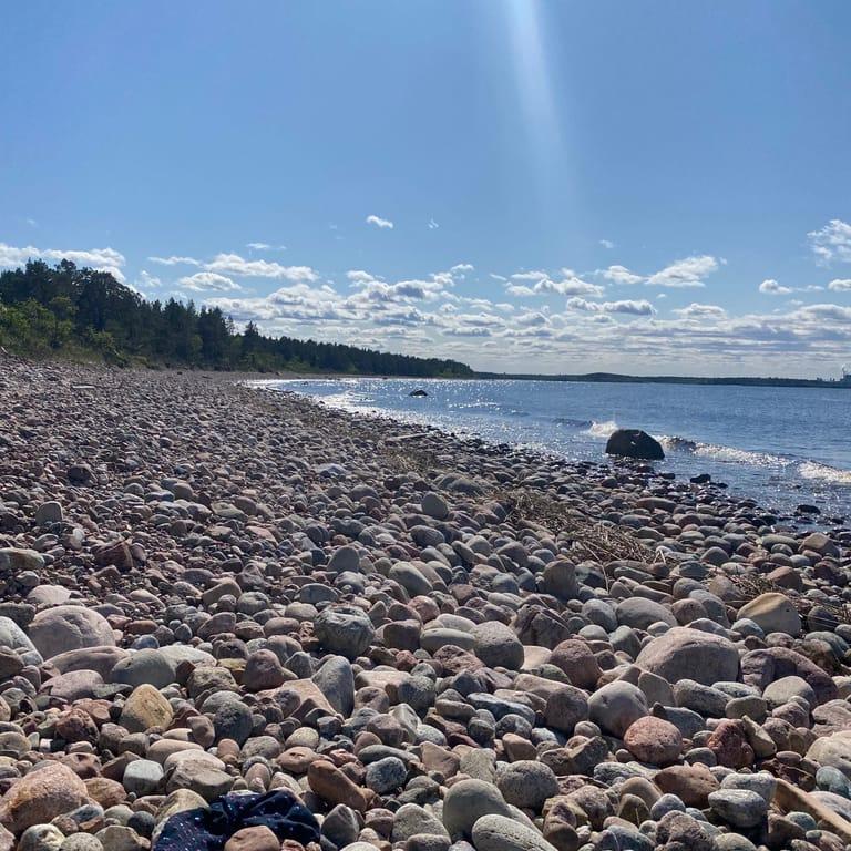 image of Billudden Naturreservat