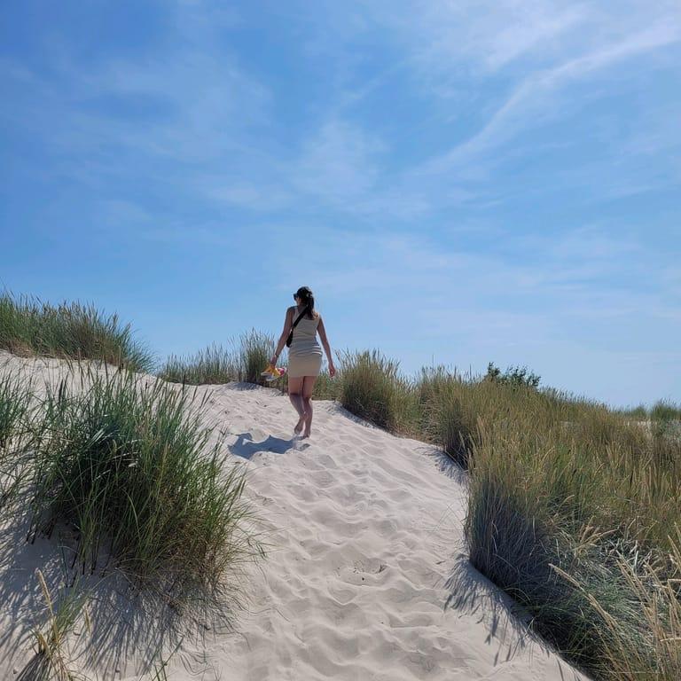 image of Sandhammaren