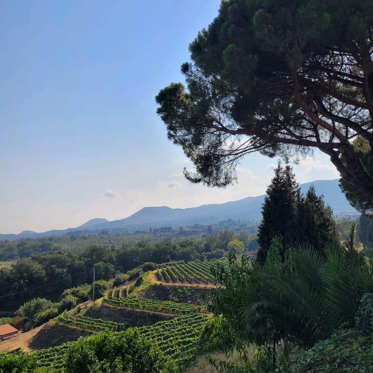 image of Agriturismo Tenuta San Michele - Etna