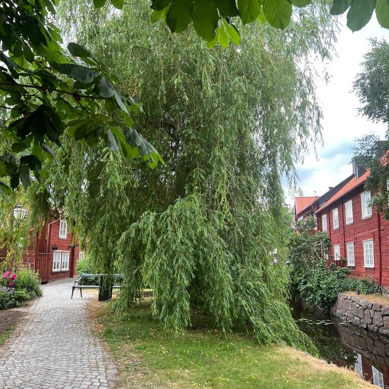 Image of the location Eksjö Konditori Gamla Stan