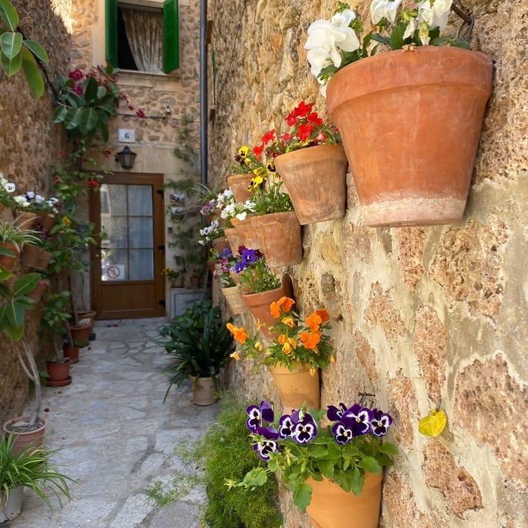 Valldemossa