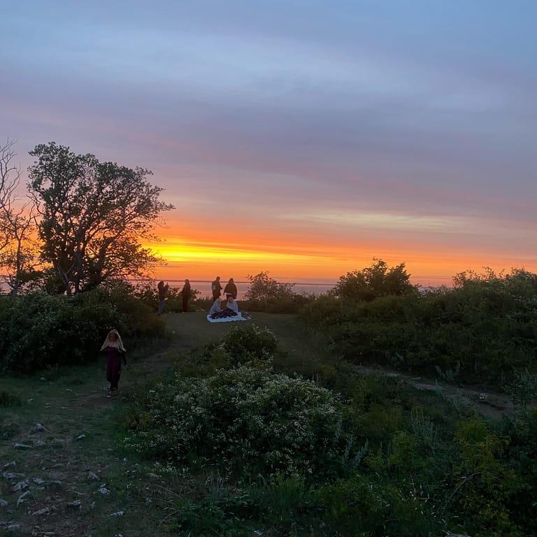 image of Borgholm Castle